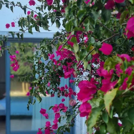 Alma Viajera Apartment